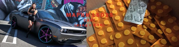 ГАЛЛЮЦИНОГЕННЫЕ ГРИБЫ Алексеевка