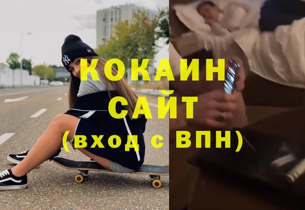 крисы Алексин