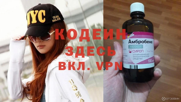 дживик Алзамай