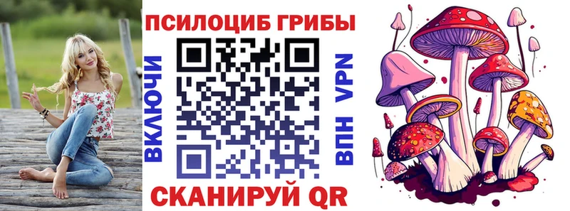 Купить  Власиха  Псилоцибиновые грибы GOLDEN TEACHER 